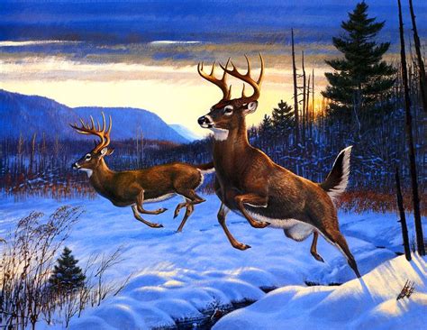 White tailed deer | Wildlife paintings, Deer artwork, Wildlife prints