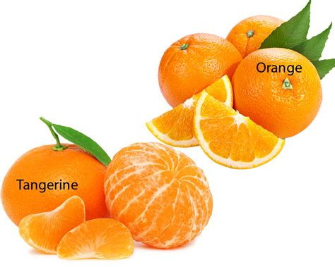 Tangerine vs Orange | thosefoods.com