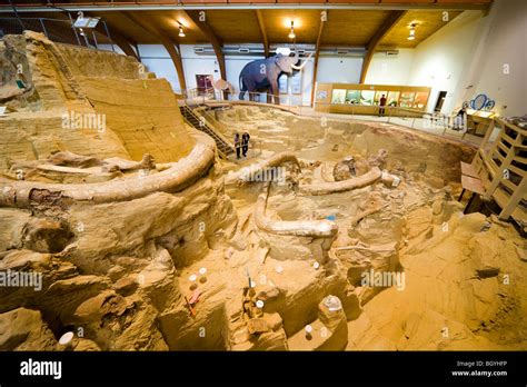 The Mammoth Site Museum, Hot Springs SD. Visitors looking into the bonebed with mammoth bones ...