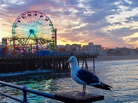 Santa Monica Pier At Sunrise: Photo Of The Day | Santa Monica, CA Patch