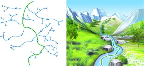 Neural Plasticity - Learning Posture and Movement Patterns