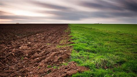 grass, Dirt, Nature, Landscape, Clouds, Green Wallpapers HD / Desktop ...