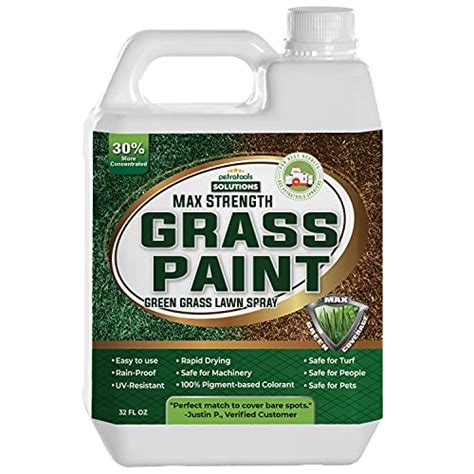 40 Best grass paint 2022 - After 153 hours of research and testing.