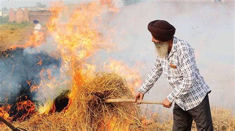 Green Tribunal asks Punjab, Haryana, UP how they intend to tackle crop burning pollution this year