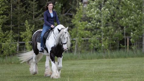 A bit of a recap - Blog - Heartland | Heartland georgie, Heartland tv ...