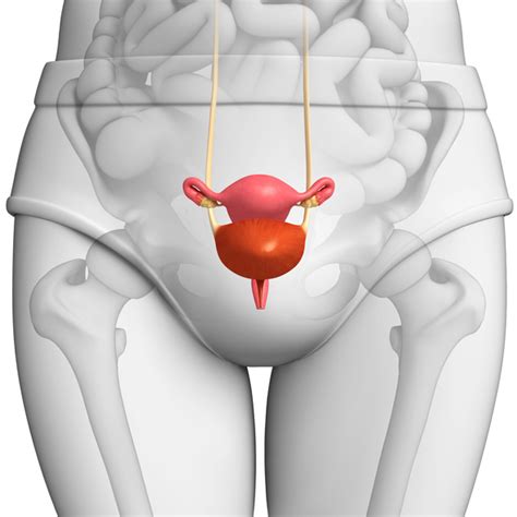 Prolapsed bladder (cystocele) causes, symptoms, surgery, and treatments