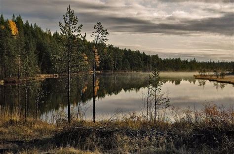 Lake in Dzukija National park.Inspiring wildness of Lithuanian nature ...