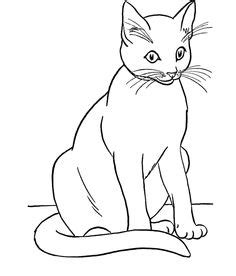 Siamese Cat Line Drawing at GetDrawings | Free download