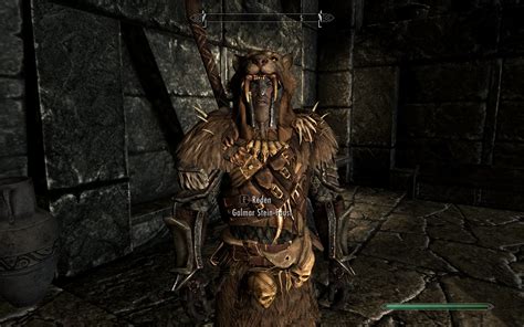 Immersive armor mod skyrim - howog