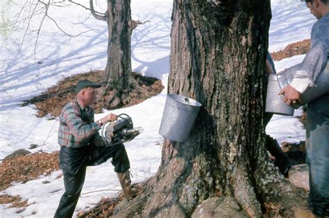 Brown Family Farm Vermont Maple Syrup - Home