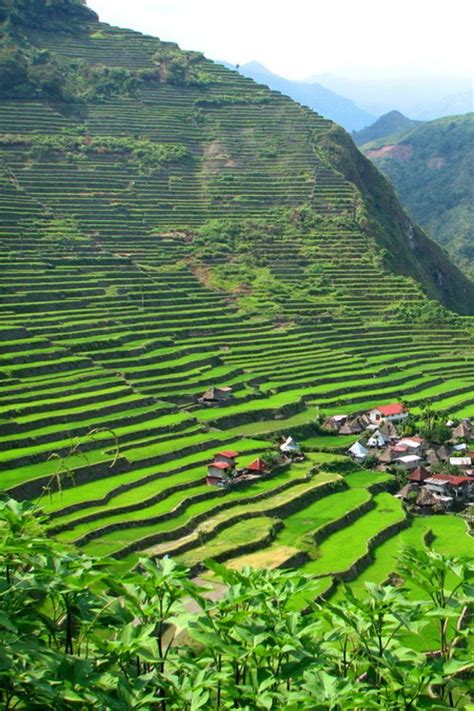 Batad Rice Terraces - How to Get to Batad and Banaue From Manila? | Banaue, Philippines travel ...