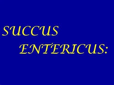 PPT - SUCCUS ENTERICUS: PowerPoint Presentation, free download - ID:8999196