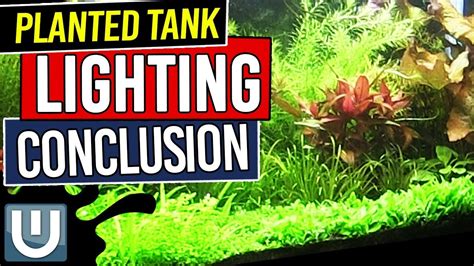 Planted Tank Lighting Conclusions - Planted Aquarium Lighting Guide – Part 8 - YouTube