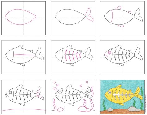 Easy How to Draw an X-Ray Fish Tutorial and Coloring Page