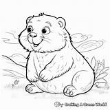Gopher Coloring Pages  Free & Printable sketch template