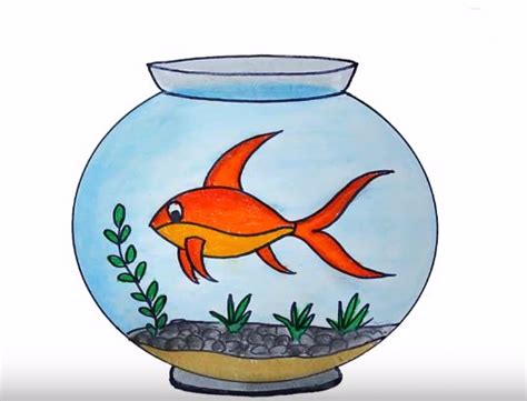 How to draw aquarium easy step by step - Easy animals to draw - https://htdraw.com/wp-content ...