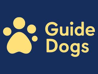 Charity Guide Dogs launches new service for local children with sight loss - Health and Social ...