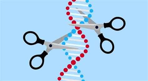 인간 DNA 조작기술은 어디까지 왔나 Human DNA manipulation techniques