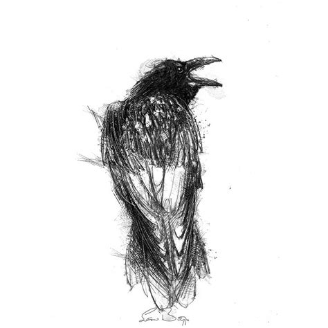 Carrion crow sketch | SeanBriggs | Crows drawing, Sketches, Art drawings