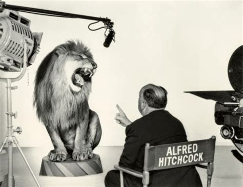 Incredible Behind the Scenes Photos From the Making of the MGM Lion Logos ~ Vintage Everyday