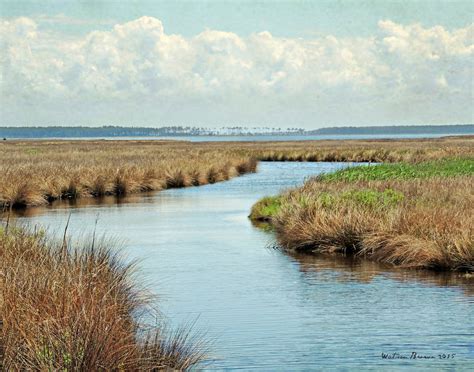 Marshes at Hobucken: Pamlico County, North Carolina | Pamlico county ...