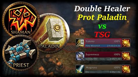 Double Healer Prot Pally vs TSG - YouTube