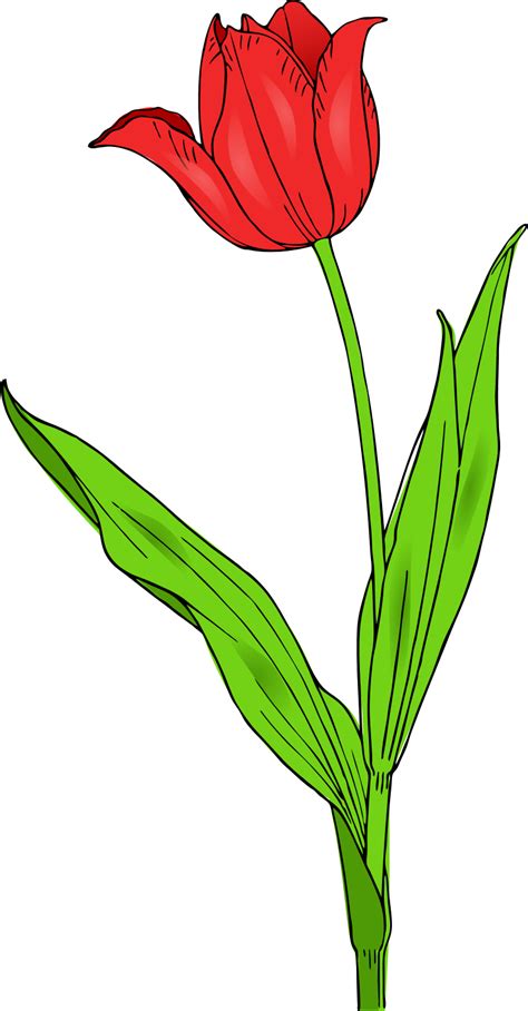 Free Spring Flower Clip Art - Cliparts.co