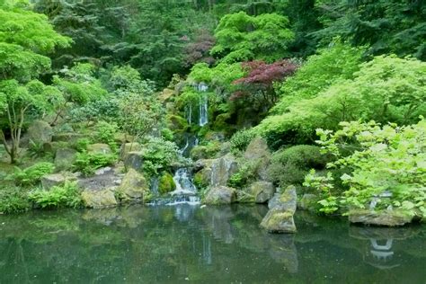 Japanese Tea Garden Portland Oregon | Japanese tea garden, Tea garden ...