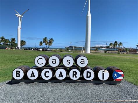 Casa BACARDI Puerto Rico (Catano) - 2020 All You Need to Know BEFORE ...