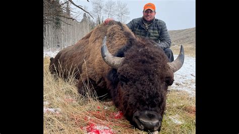 Wyoming Man Bags 1-Ton Monster Bull Bison In Once-In-A-Lifetime Hunt ...