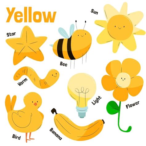 Premium Vector | Pack of yellow objects and vocabulary words in english