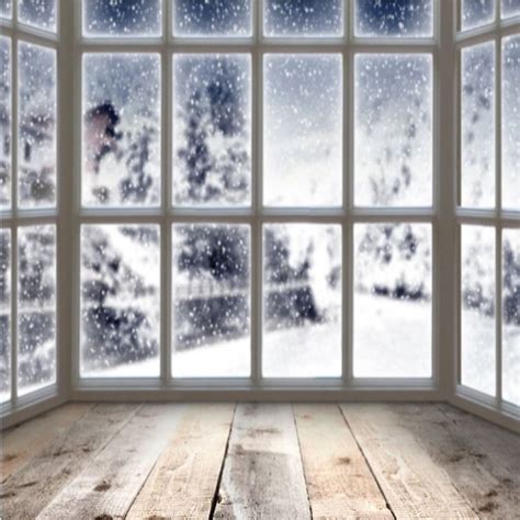 Amazon.com: Winter Indoor Photography Backdrops Snow Window Backgrounds Gray Wood Floor for ...