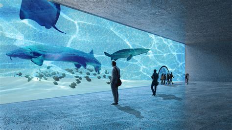 Jakarta Aquarium Centre :: Behance