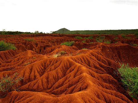 What is Erosion? Effects of Soil Erosion and Land Degradation