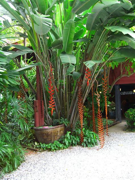 Tropical garden courtyard | Tropical garden design, Tropical ...