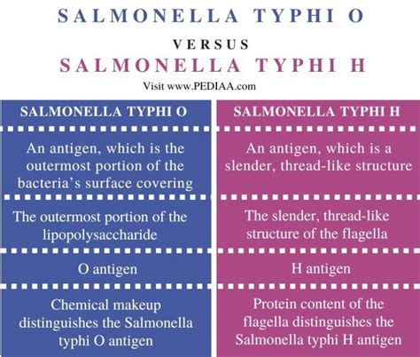 What is the Difference Between Salmonella Typhi O and H - Pediaa.Com