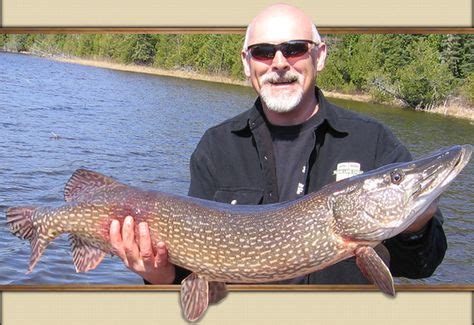 Expert Pike Fishing Tips to Catch More Fish