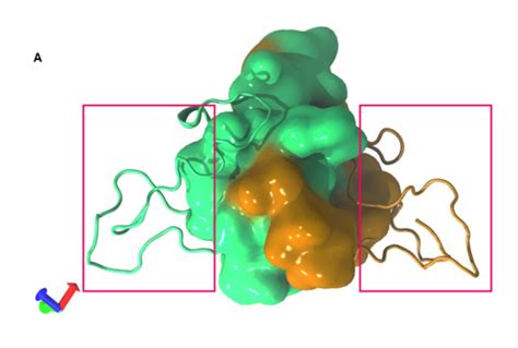 Homodimer prediction of E7. A) Homodimer of the reference E7 average ...