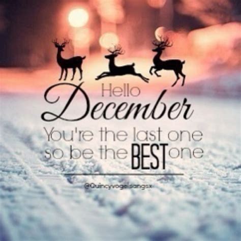 Hello December Quotes With Beautiful. QuotesGram