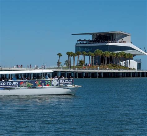 TAMPA BAY WATCH DISCOVERY CENTER ECO-TOURS (2024) All You Need to Know ...