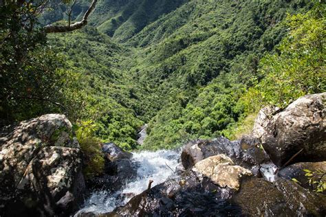 Black River Gorges National Park ultimate guide [with hiking map] - MEL365.com - Travel ...