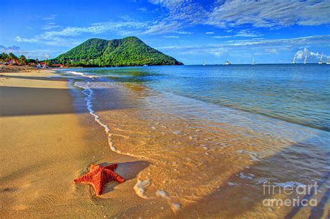 Starfish Beach Photograph by Scott Mahon - Fine Art America