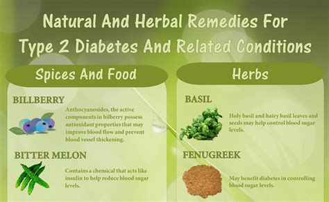 Natural Remedies for Type 2 Diabetes (Infographic)