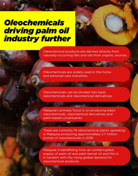 How oleochemicals production is contributing to the palm oil industry