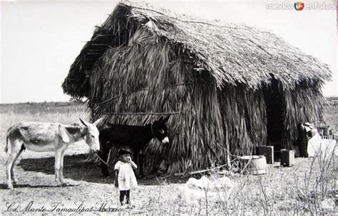 Un jacal - Ciudad Mante, Tamaulipas (MX14296274928383)