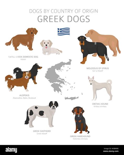 How Did Dog Breeds Originate