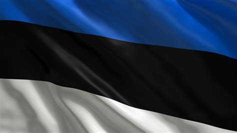 ESA - Estonia flag