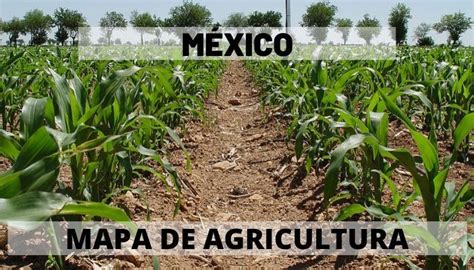 Agricultura en México - Mapas, Descarga e Imprime