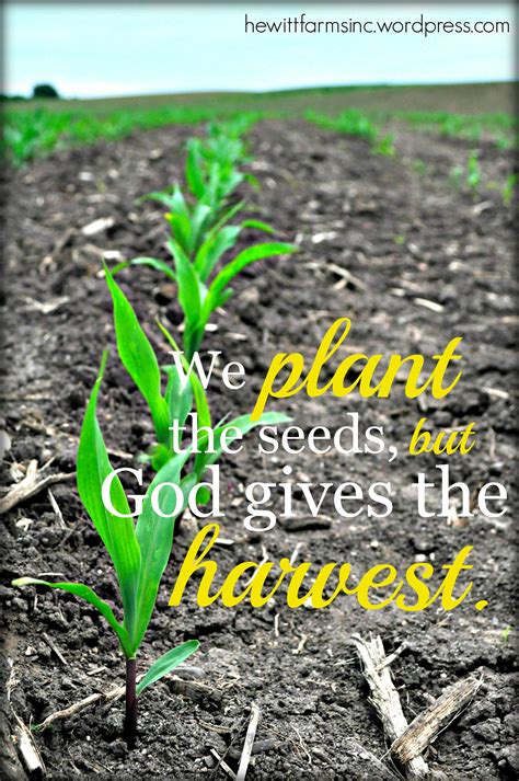 We plant the seed, but God gives the harvest. | Harvest quotes, Seed quotes, Agriculture quotes
