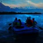 Rafting Bioluminescence Tour - Family Friendly Night Tour
